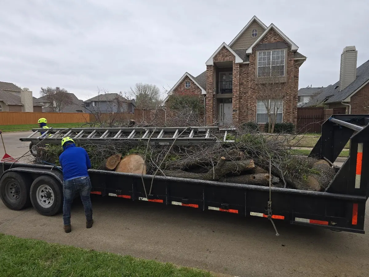 Expert Tree Removal with proper safety equipment in Huntsburg